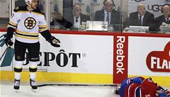Milan Lucic a Jaroslav paek.