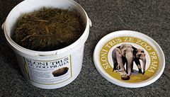 Pražská zoo začne prodávat sloní trus 