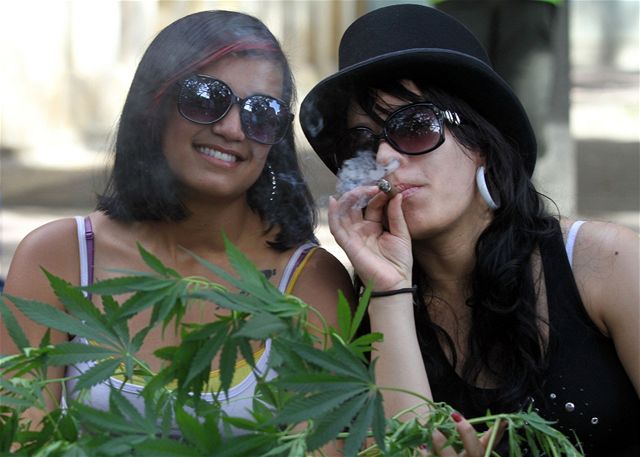 Marihuana v USA jako legální byznys. Colorado vydělalo 76 milionů | Byznys  | Lidovky.cz