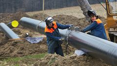 Komárek chce koupit české plynovody od RWE
