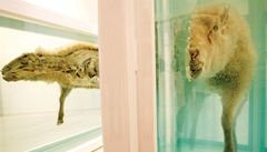 Dílo britského výtvarníka Damiena Hirsta