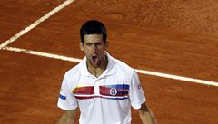 Novak Djokovi slaví dalí titul a výhru nad Rafaelem Nadalem.