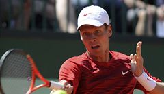 Berdych peel pes Hernycha a v Halle je ve tvrtfinle 