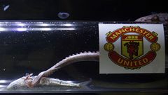 Chobotnice Iker nepeje Barce: zvtz Manchester