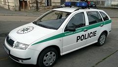 Policejní vůz - ilustrační foto