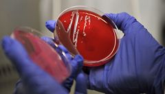 Pacienty zabj mutant dvou rznch bakteri