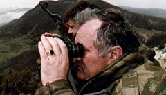 Ratko Mladi na snímku z roku 1994