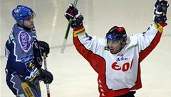 Hokejist Znojma budou hrt rakouskou ligu 