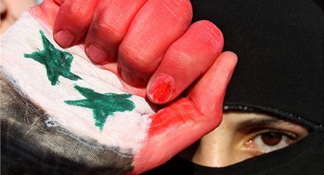 Jedna z demonstrantek si namalovala syrskou vlajku na ruku. 