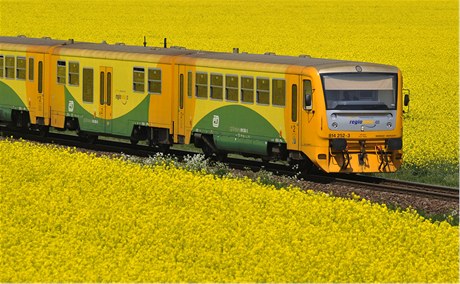 Vlak projídí 13. kvtna v Bystrovanech u Olomouce kvetoucím lánem epky. 