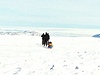 Expedice napí Grónskem. Zdenk Lyka se na jae vypravil s partou kamarád pes celé Grónsko.