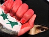 Jedna z demonstrantek si namalovala syrskou vlajku na ruku. 