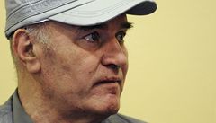 ŠUPOVÁ: O upovídaném Mladičovi a husích játrech