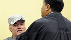 Ratko Mladi ped soudem v Haagu