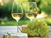 Bílé víno - ilustrační foto