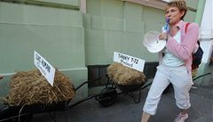 Demonstranti na cedule napsali vládní proh�e�ky.