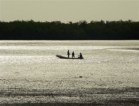UNESCO, delta eky Saloum (Senegal).