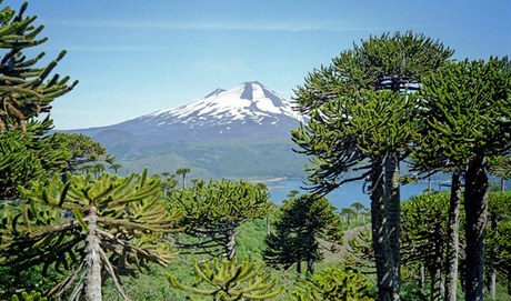 Národní park Conguillío 