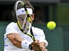Wimbledon zaal, Rafael Nadal v akci.