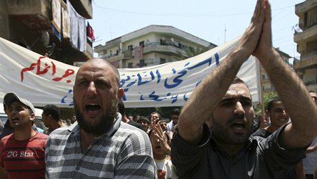 Syané ijící v Libanonu vyjadují podporu protivládním protestm krajan