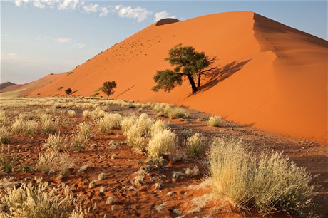 Poušť v Namibii