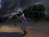 Stovky voják zlikvidovaly marihuanu z vbec nejvtí plantáe, ketrá byla v zemi nalezena