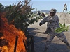 Mexické ministerstvo obrany, e vechny rostliny na utajené plantái byly vytrhány a spáleny
