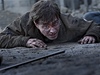 Harry Potter a Relikvie smrti - ást 2. estnáctiletý Harry zbavený ochranného...