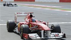 Fernando Alonso.