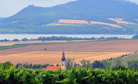 Výhled na Pálavské vrchy pes vinice a kostel v Popicích na Beclavsku. 