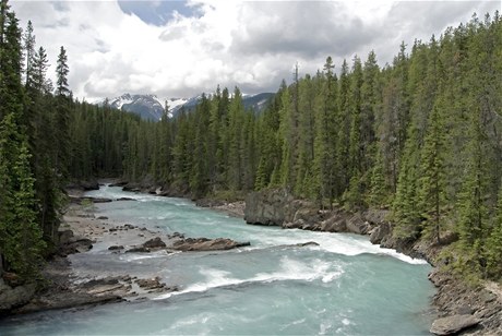 eka Kicking Horse, do které ei na útku skoili