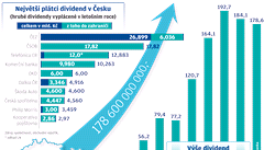 Nejvt pltci dividend v esku