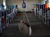 Improvizovaná váha na dti na pediatrické klinice v Keni nedaleko somálských hranic.