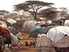 Dadaab ve východní Keni je vbec nejvtí uprchlický tábor na svt. Somálci do nj zaali po desítkách tisíc picházet v ervnu.