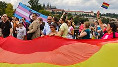 V pr�vodu se objevila hesla "A� queer z�stává s touto krajinou," "Stydím se za prezidenta," "M�j syn není �ádný deviant," ale i "Vysvobození z homosexuality je mo�né v Kristu" - to dr�eli odp�rci pochodu. 