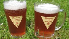 Domácí prototyp pivního speciálu Buqiák