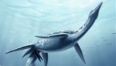 Takto z�ejm� p�ed miliony let probíhal porod plesiosara Polycotylus latippinus.