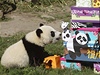 Mlád pandy Fu Hu oslavilo své první narozeniny ve vídeské Zoo.