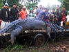 Obrovského krokodýla mořského chytili na Filipínách.