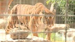 V tripoliské zoo trpí zvířata, nikdo se o ně nestará