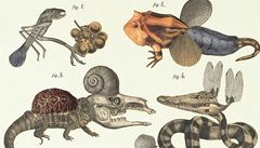 Jan �vankmajer - Historia naturae