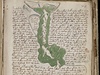 Voynichv rukopis.