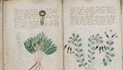 Voynichův rukopis.