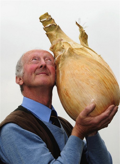Britský farmář vypěstoval největší cibuli na světě