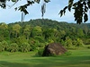 Panenská píroda, Tioman, Malajsie