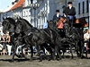 Svatováclavská pehlídka koní spojená s jejich ehnáním na Velkém námstí v Hradci Králové.