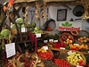 Zan podzimn st Flory Olomouc, kde si pijdou na sv nejen zahrdki, ale i milovnci kvalitnch eskch plodin.