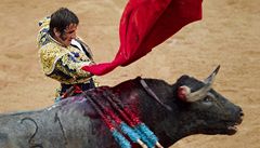 Španělská televize obnoví živé přenosy býčích zápasů 