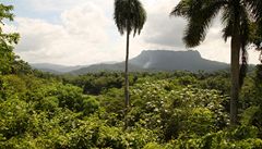 Kubnsk krska: stolov hora El Yunque