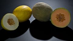 Nakaen melouny zpsobily v USA smrt 21 lid